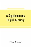 A supplementary English glossary