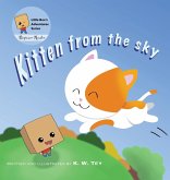 Kitten from the sky