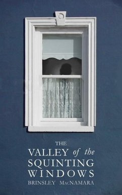 The Valley of the Squinting Windows - McNamara, Brinsley