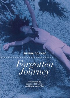 Forgotten Journey (eBook, ePUB) - Ocampo, Silvina