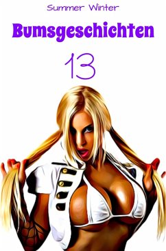 Cover Bumsgeschichten 13 (eBook, ePUB)