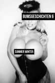 Bumsgeschichten 6 (eBook, ePUB) Bumsgeschichten 6 (eBook, ePUB)