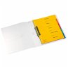 Herlitz Ringbuch PP A4 2 Ringe 25mm,... - Bild 1
