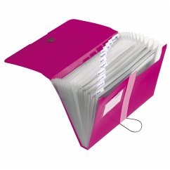 Herlitz Fächermappe A4 PP 12 Fächer, Beere