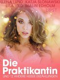 Die Praktikantin und 12 andere heiße Erzählungen (eBook, ePUB)