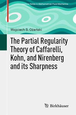 The Partial Regularity Theory of Caffarelli, Kohn, and Nirenberg and its Sharpness (eBook, PDF) - Ożański, Wojciech S.