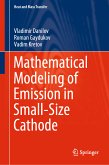 Mathematical Modeling of Emission in Small-Size Cathode (eBook, PDF)