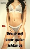 Dreier mit einer geilen Schlampe (eBook, ePUB)