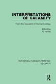 Interpretations of Calamity (eBook, PDF)