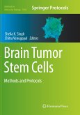 Brain Tumor Stem Cells