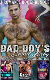 Bad Boy's Secret Baby : Pregnancy Romance Collection (eBook, ePUB)