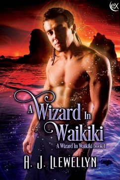 A Wizard in Waikiki (eBook, ePUB) - Llewellyn, A. J.