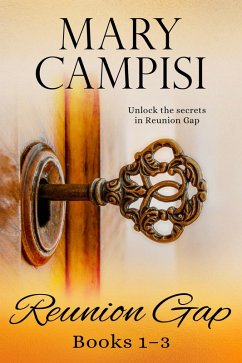 Cover Reunion Gap Boxed Set (eBook, ePUB)