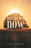 Miracles Now (eBook, ePUB)