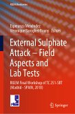 External Sulphate Attack – Field Aspects and Lab Tests (eBook, PDF)