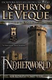Netherworld (eBook, ePUB)