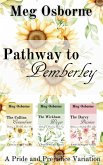 Pathway to Pemberley - A Pride and Prejudice Variation Series (eBook, ePUB)
