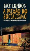 A Paixão do Socialismo (eBook, ePUB)