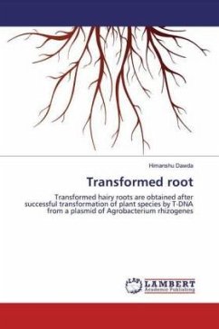 Transformed root