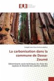 La carbonisation dans la commune de Dassa-Zoumé