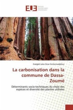 La carbonisation dans la commune de Dassa-Zoumé - Gnitonnadjèhou, Essègbê Jules César