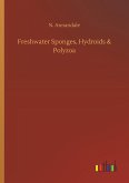 Freshwater Sponges, Hydroids & Polyzoa