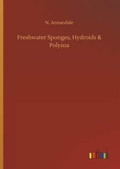 Freshwater Sponges, Hydroids & Polyzoa - Annandale, N.