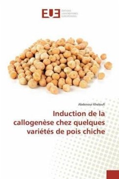 Induction de la callogenèse chez quelques variétés de pois chiche - Kheloufi, Abdenour