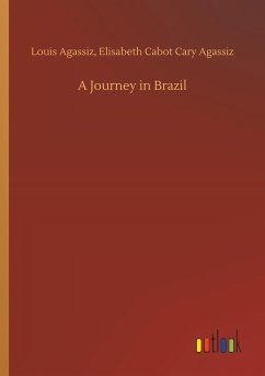 A Journey in Brazil - Agassiz, Louis