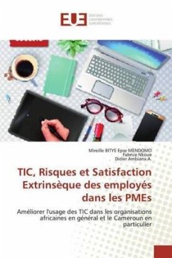 TIC, Risques et Satisfaction Extrinsèque des employés dans les PMEs - BITYE Epse MENDOMO, Mireille;Nkoue, Fabrice;Ambiana A., Didier