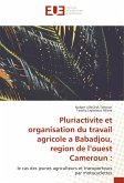 Pluriactivite et organisation du travail agricole a Babadjou, region de l¿ouest Cameroun :