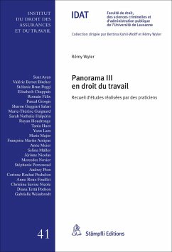 Cover Panorama III en droit du travail (eBook, PDF)