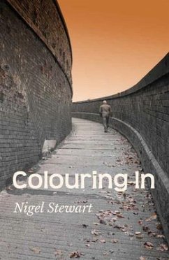Colouring In (eBook, ePUB) - Stewart, Nigel
