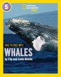 Face to Face with Whales - Bild 1