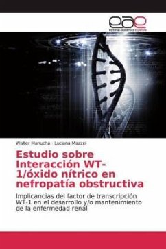 Estudio sobre Interacción WT-1/óxido nítrico en nefropatía obstructiva - Manucha, Walter;Mazzei, Luciana