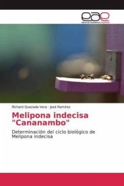 Melipona indecisa "Cananambo"