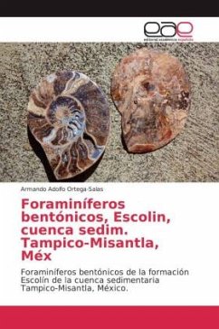 Foraminíferos bentónicos, Escolin, cuenca sedim. Tampico-Misantla, Méx - Ortega-Salas, Armando Adolfo