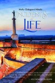 Incidents of Life (eBook, ePUB)