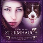 Sturmhauch, Episode 20 - Fantasy-Serie (MP3-Download)