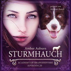 Sturmhauch, Episode 20 - Fantasy-Serie (MP3-Download) - Auburn, Amber