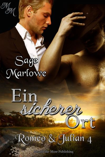Ein sicherer Ort (eBook, ePUB)