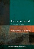 Derecho penal (eBook, ePUB)