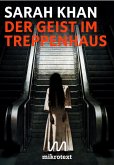 Der Geist im Treppenhaus (eBook, ePUB)