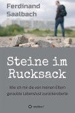 Steine im Rucksack (eBook, ePUB)
