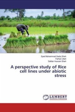 A perspective study of Rice cell lines under abiotic stress