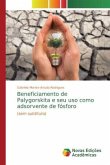 Beneficiamento de Palygorskita e seu uso como adsorvente de fósforo