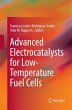 Advanced Electrocatalysts for... - Bild 1