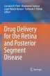 Drug Delivery for the Retina and... - Bild 1
