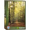 Eurographics 6000-3846 - Forest Path -... - Bild 1