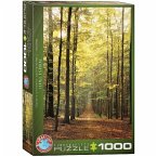 Eurographics 6000-3846 - Forest Path - Waldweg, Puzzle 1.000 Teile